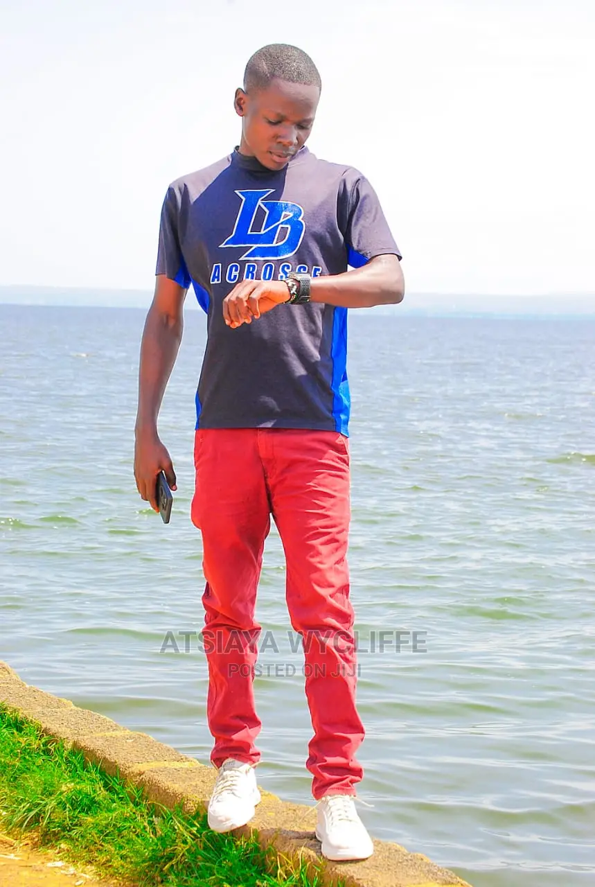 Land Surveyor