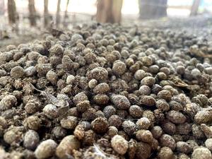 Rabbit Urine And Manure - thumbnail 2