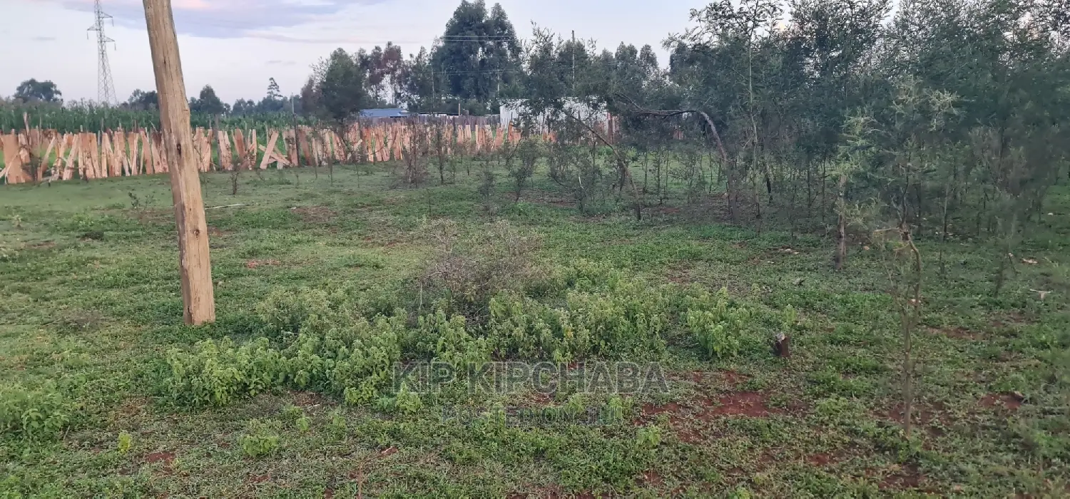 1⁄4 Plot for Sale in Kapseret Bypass After Lobo Eldoret