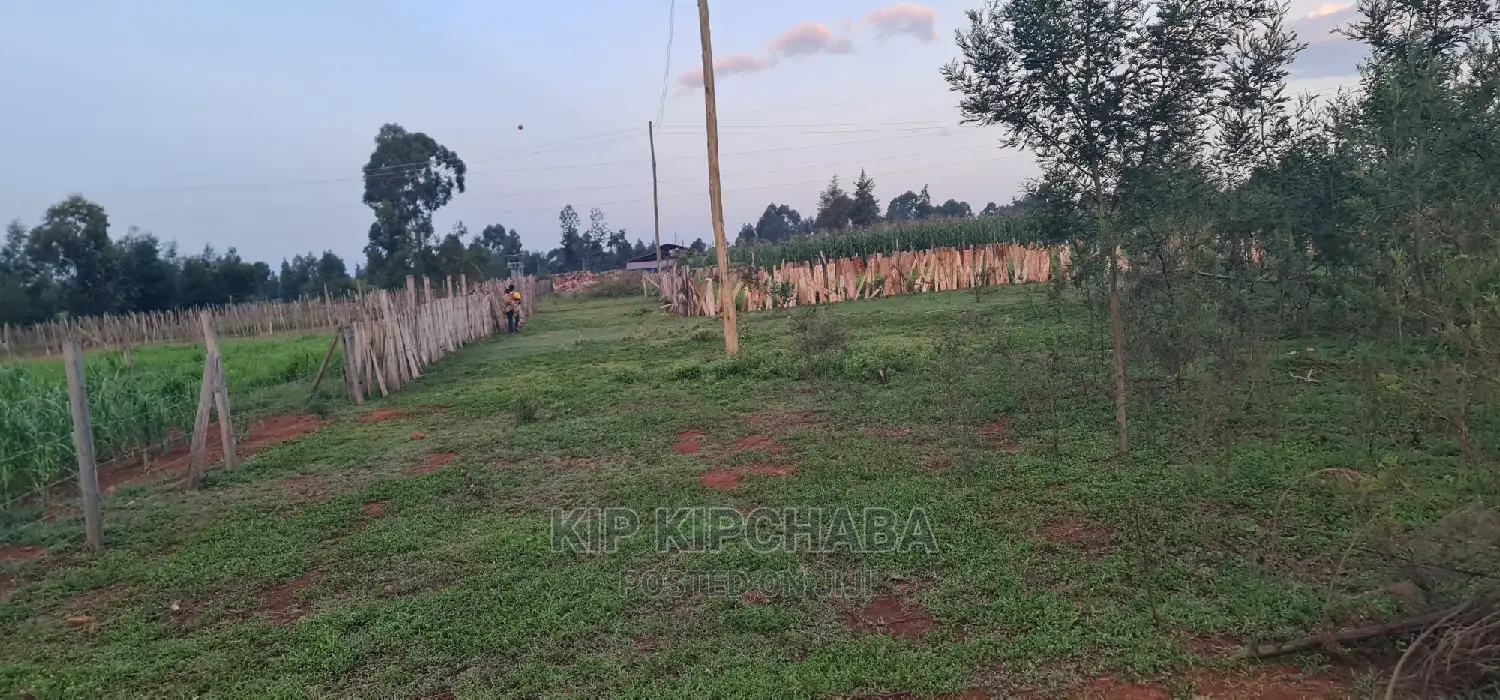 1⁄4 Plot for Sale in Kapseret Bypass After Lobo Eldoret