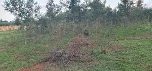 1⁄4 Plot for Sale in Kapseret Bypass After Lobo Eldoret