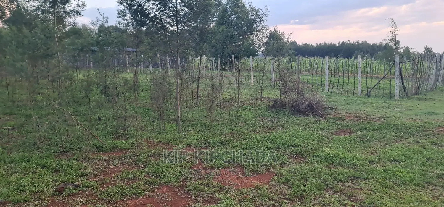 1⁄4 Plot for Sale in Kapseret Bypass After Lobo Eldoret