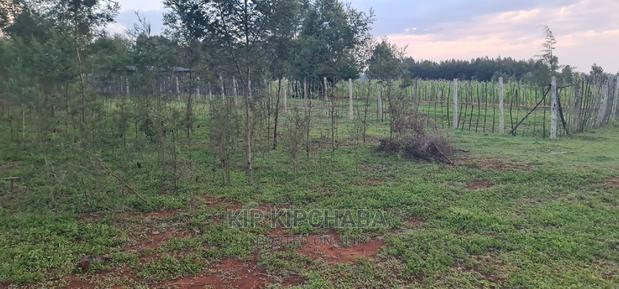 1⁄4 Plot for Sale in Kapseret Bypass After Lobo Eldoret - thumbnail 7