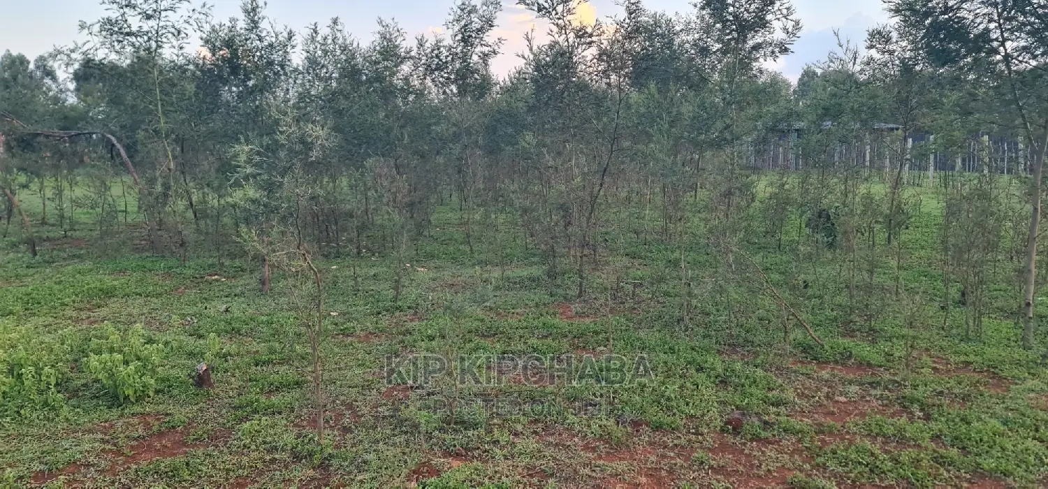 1⁄4 Plot for Sale in Kapseret Bypass After Lobo Eldoret