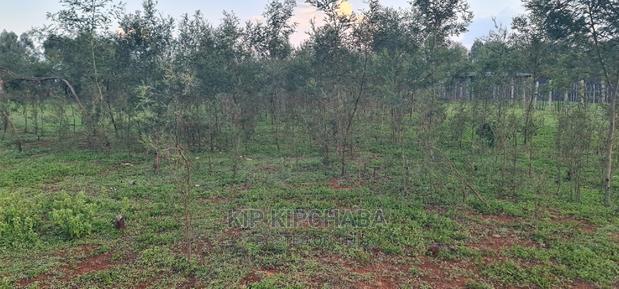 1⁄4 Plot for Sale in Kapseret Bypass After Lobo Eldoret - thumbnail 6