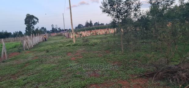 1⁄4 Plot for Sale in Kapseret Bypass After Lobo Eldoret - thumbnail 8