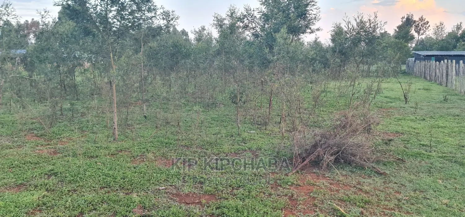 1⁄4 Plot for Sale in Kapseret Bypass After Lobo Eldoret