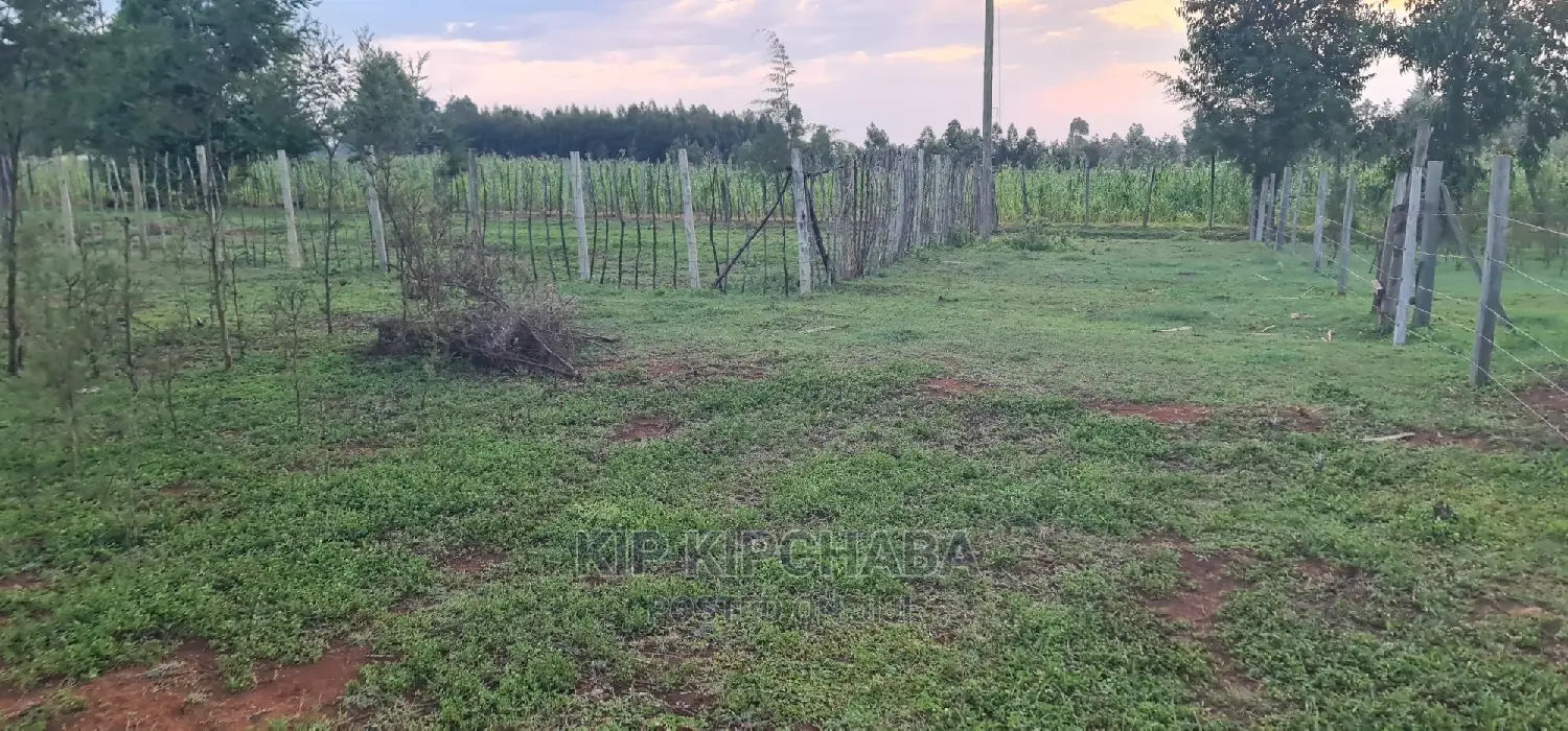 1⁄4 Plot for Sale in Kapseret Bypass After Lobo Eldoret