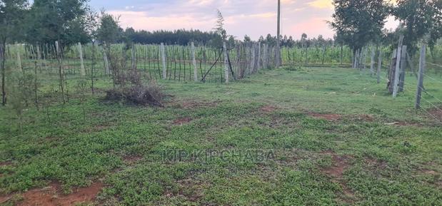1⁄4 Plot for Sale in Kapseret Bypass After Lobo Eldoret - thumbnail 10