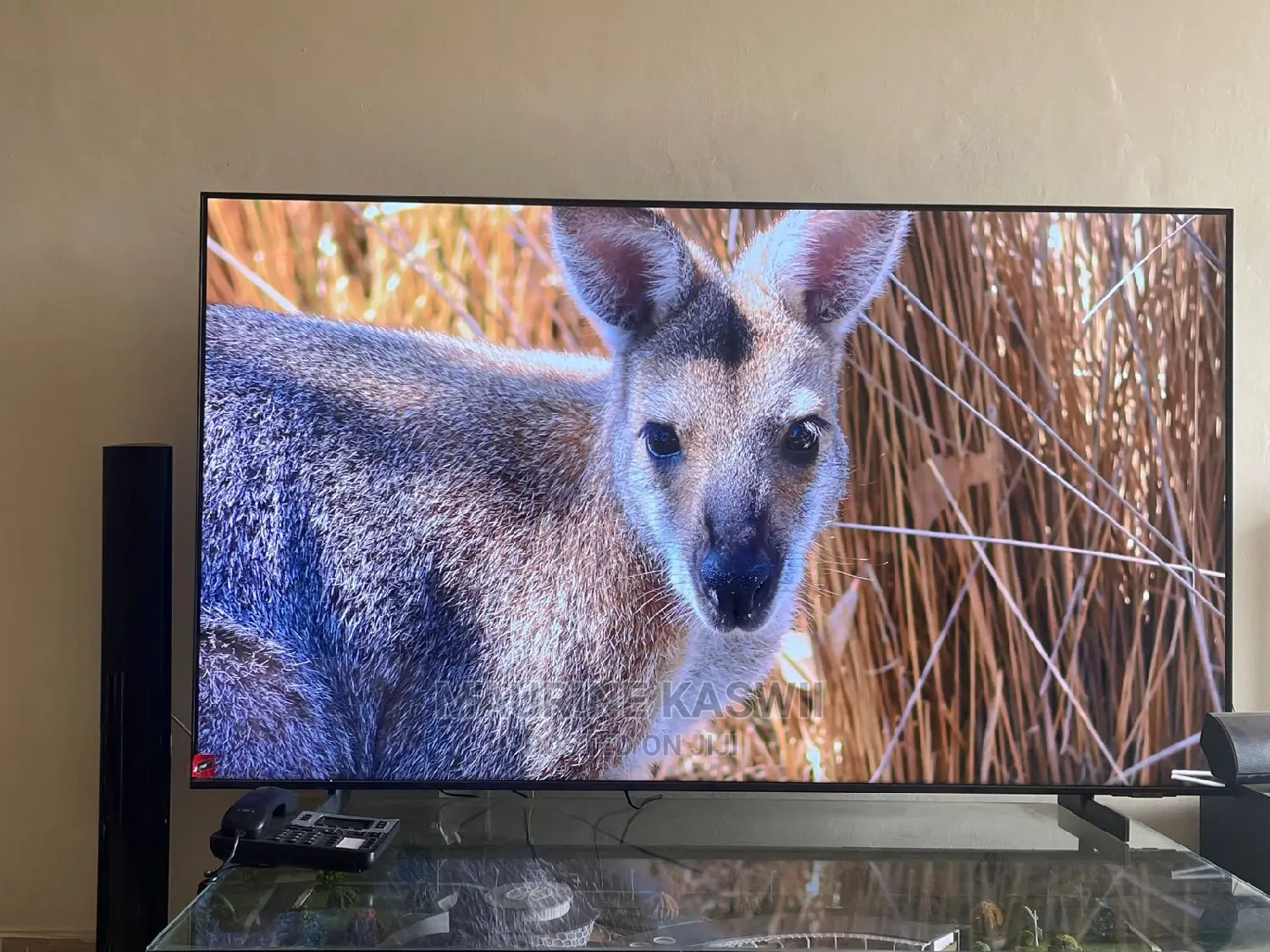 Samsung 65 Cu 8000 Latest 2023 Model
