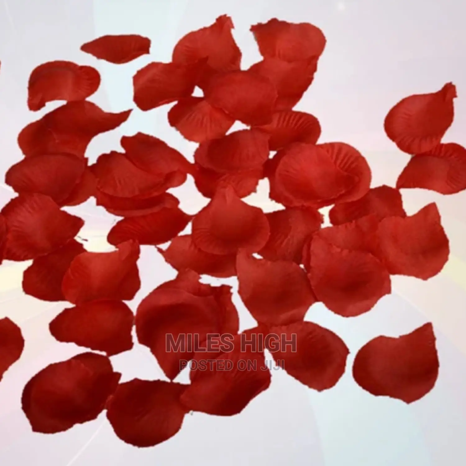Wedding Confetti Party Popper