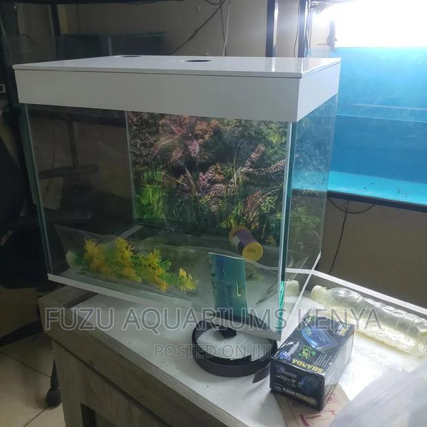 White Table Top Aquarium - main view