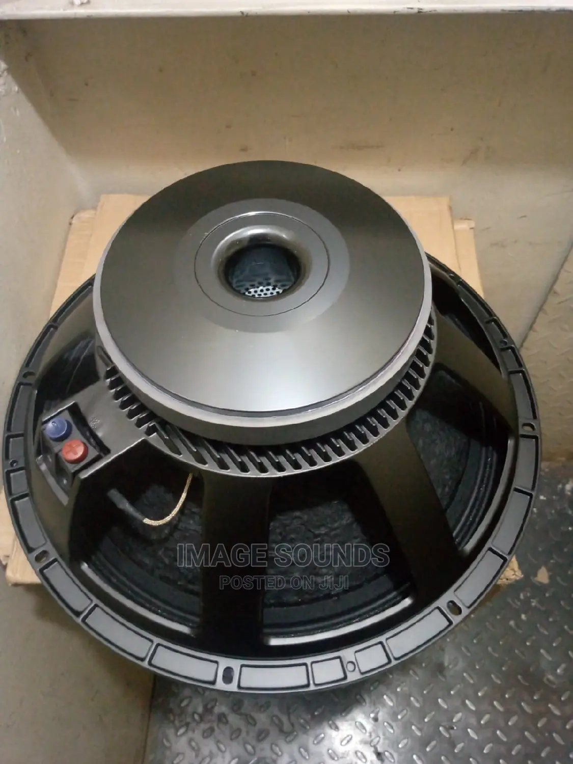 18" RCF Naked Speaker L18p
