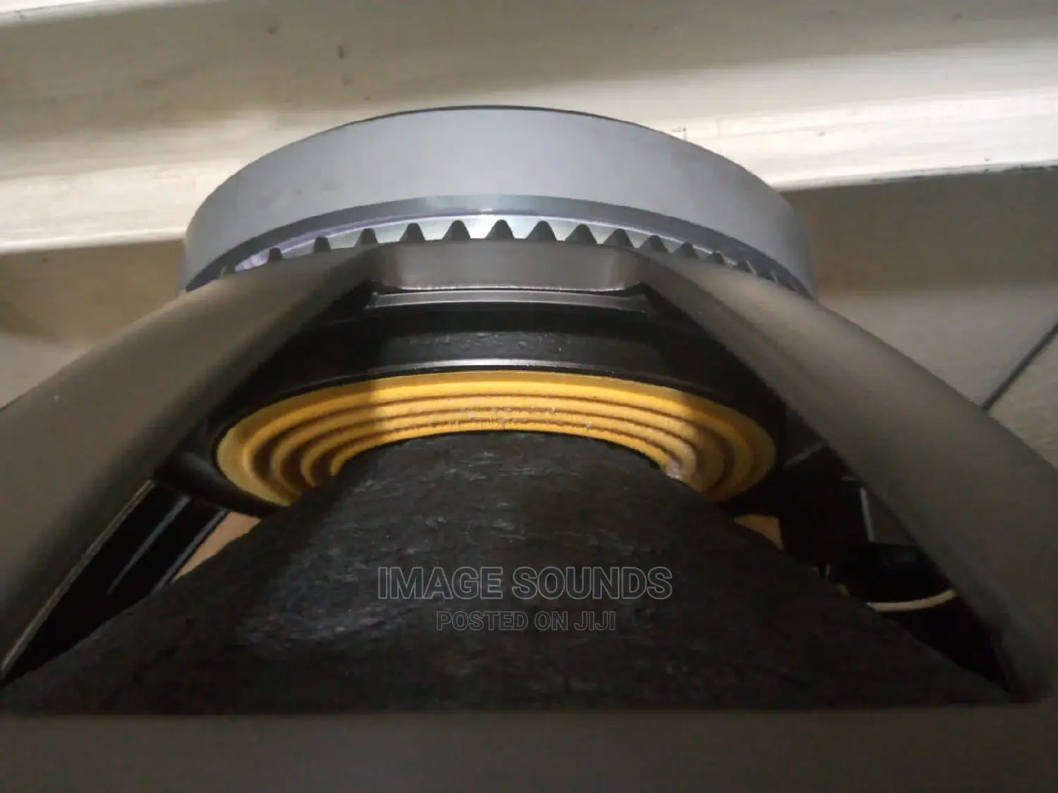 18" RCF Naked Speaker L18p