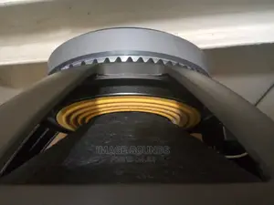18" RCF Naked Speaker L18p