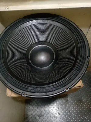 18" RCF Naked Speaker L18p