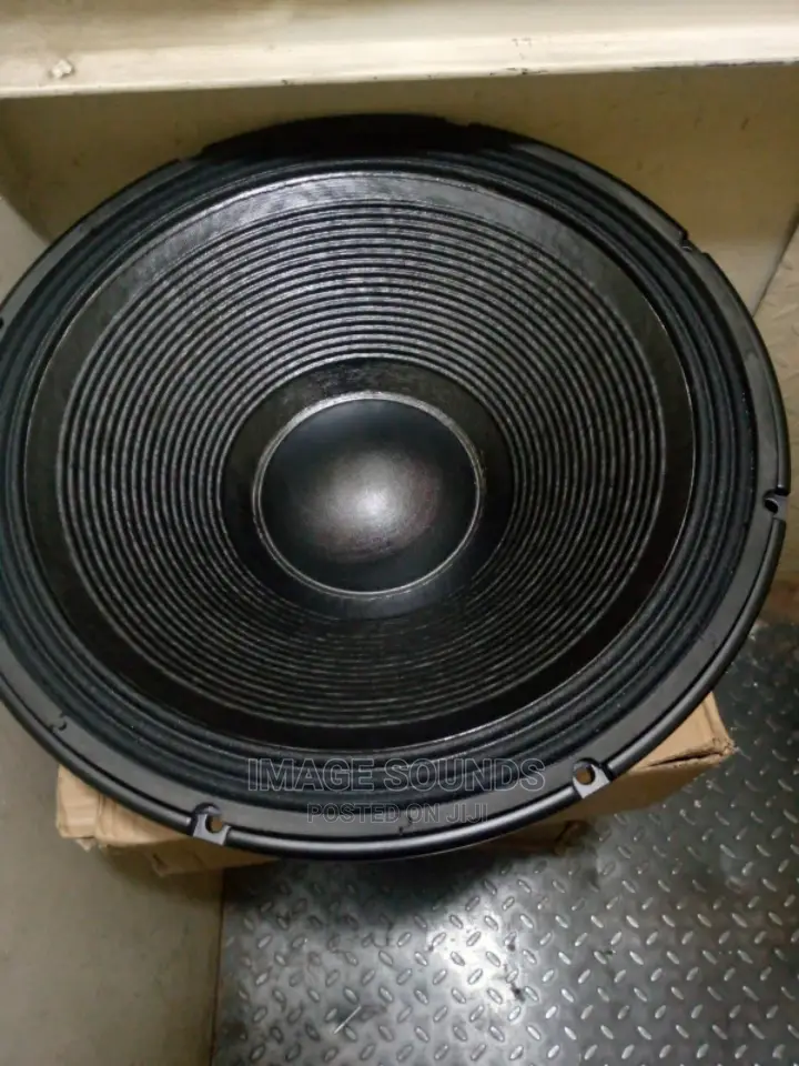 18" RCF Naked Speaker L18p