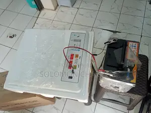 Full Automatic 56 Eggs Ac/Dc Incubator