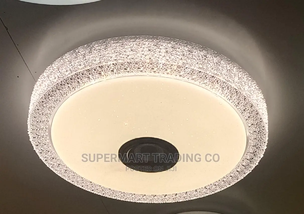 Ceiling Light With Bluetooth Speaker