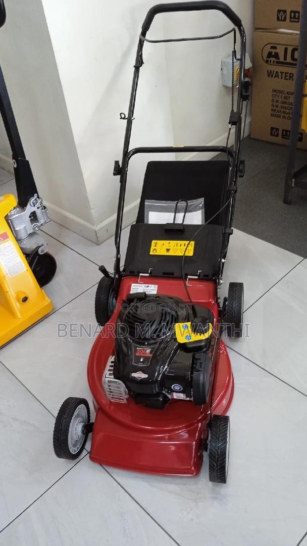 Briggs Stratton Lawnmowers - main view