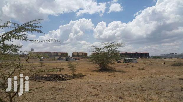 17 Acres for Sale - thumbnail 4