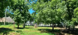 La-Marina Mtwapa 1/4 Plots on Sale