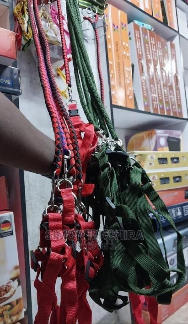 Pet High Quality Nylon Dog Harness and Leash Double Layer - main view