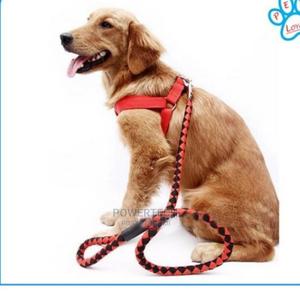 Pet High Quality Nylon Dog Harness and Leash Double Layer" - thumbnail 2