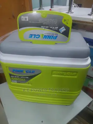 Awesome 25 Litres Green Cooler Box