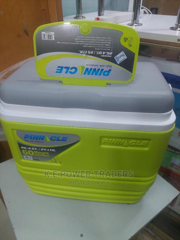 Awesome 25 Litres Green Cooler Box