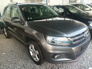 Volkswagen Tiguan 2016 Gray