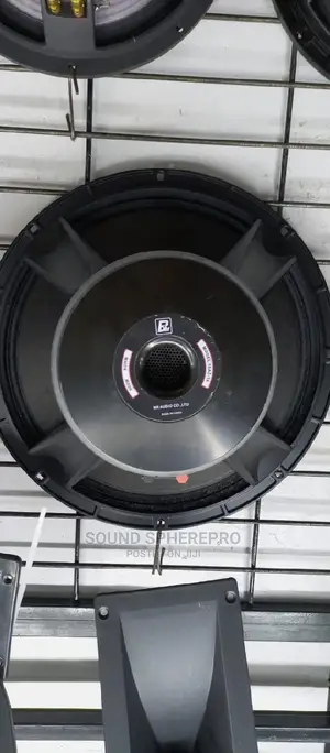 BM 15az-16 Midrange Naked Speaker