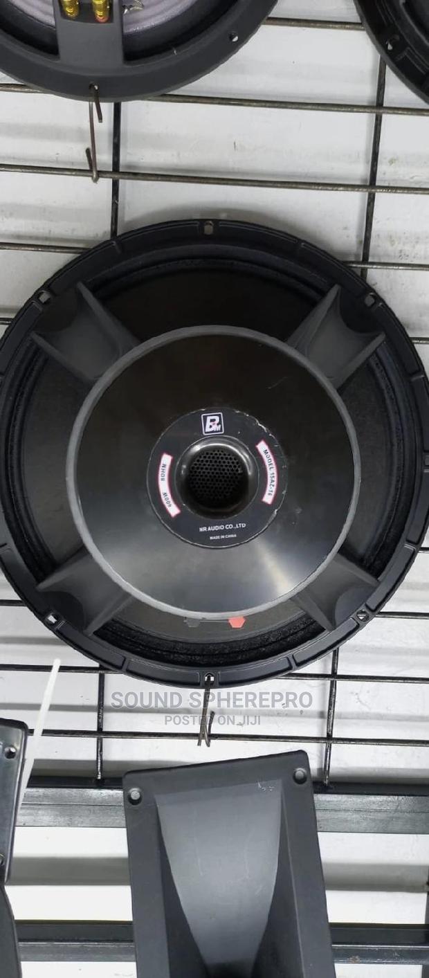 BM 15az-16 Midrange Naked Speaker