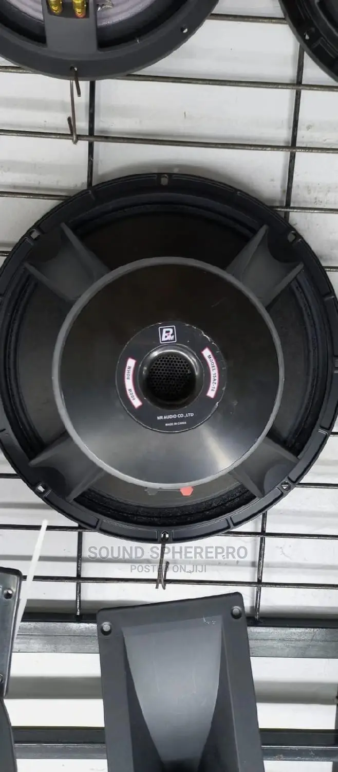 BM 15az-16 Midrange Naked Speaker