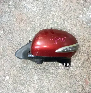 Nissan Juke 2012 Side Mirror