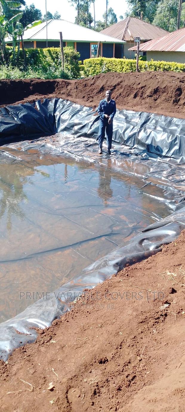 Fish Farming Using Damliners - main view