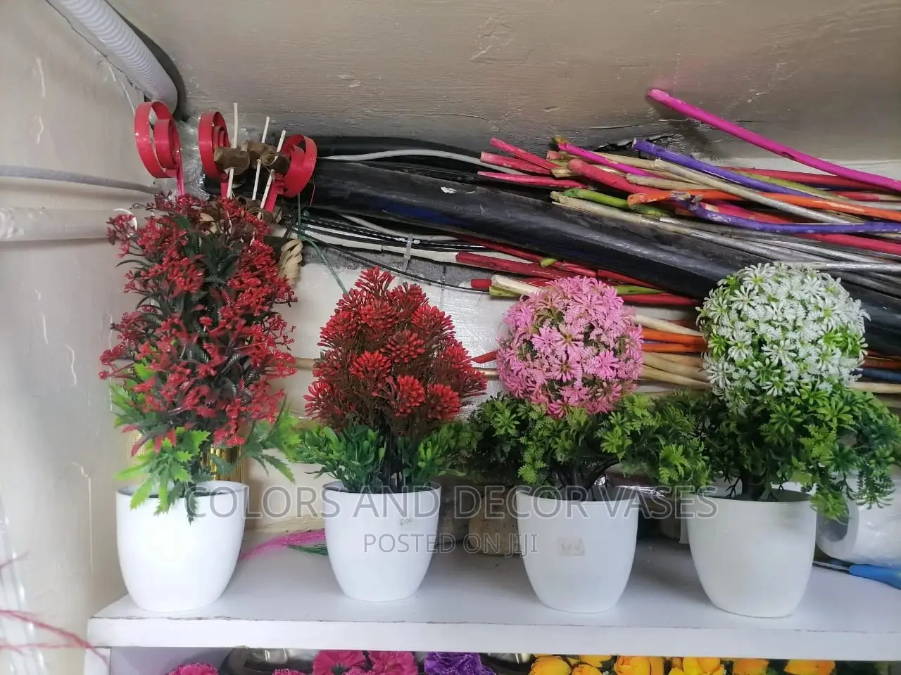 Bonsai Potted Plants 20-30cm Long