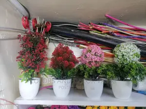 Bonsai Potted Plants 20-30cm Long