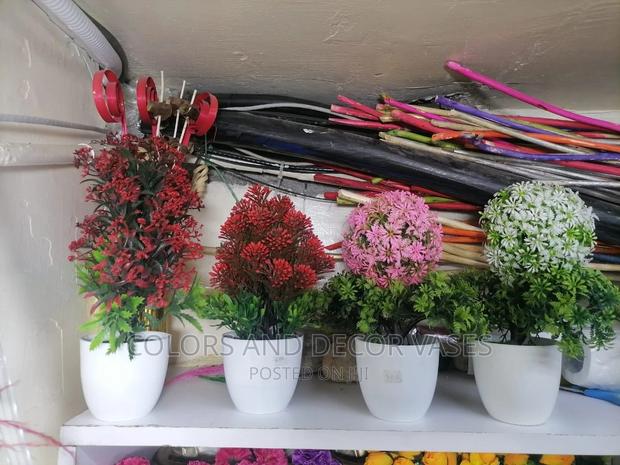 Bonsai Potted Plants 20-30cm Long