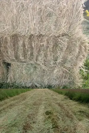Boma Rhode Hay Bales