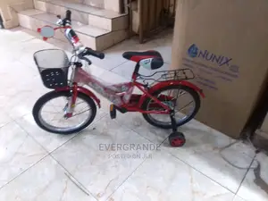 Brand New Bicycle Size 20