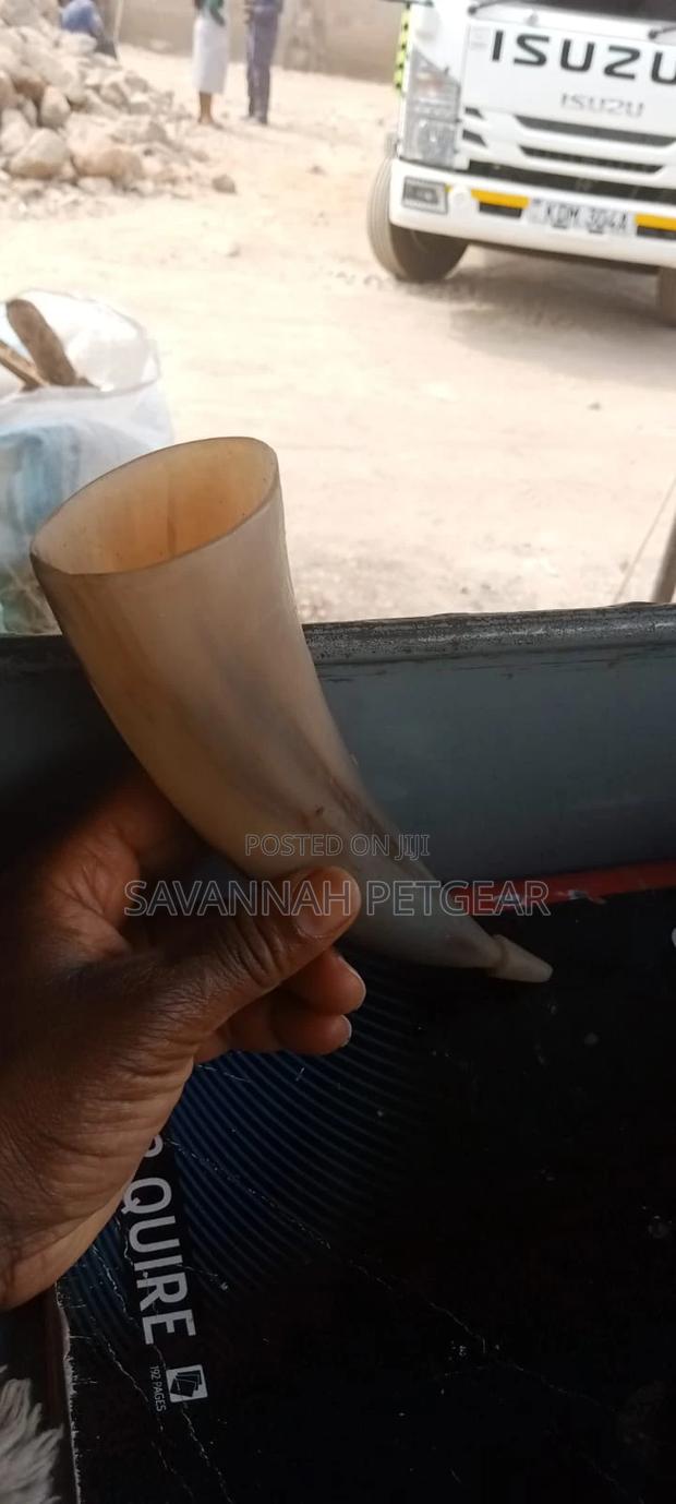 Authentic Ceremonial Horn Wine Glass - Medium Size
