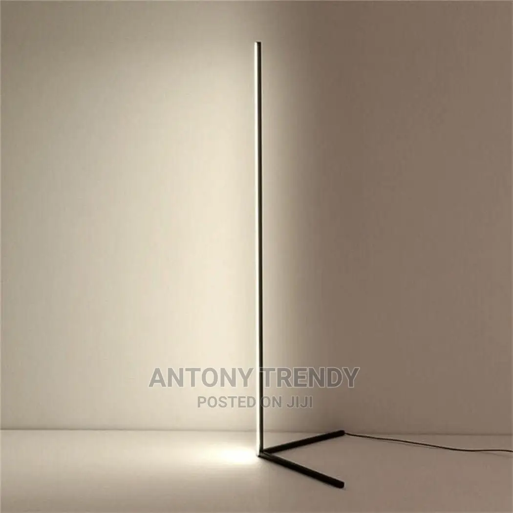Dimmable Modes Modern Floor Lamp