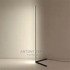 Dimmable Modes Modern Floor Lamp