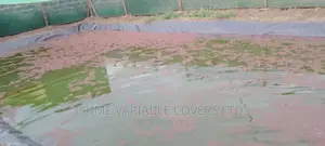 Kilimo Biashara Fishing With Cost Effective Dam Liners