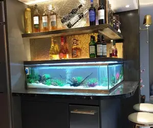 Bar Counter Fish Tank , Aquarium