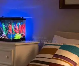 Bedside Mini Aquarium