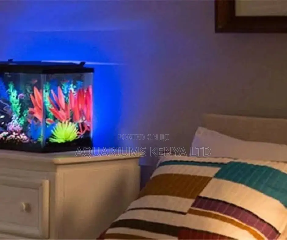 Bedside Mini Aquarium