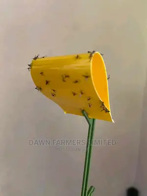 Sticky Traps