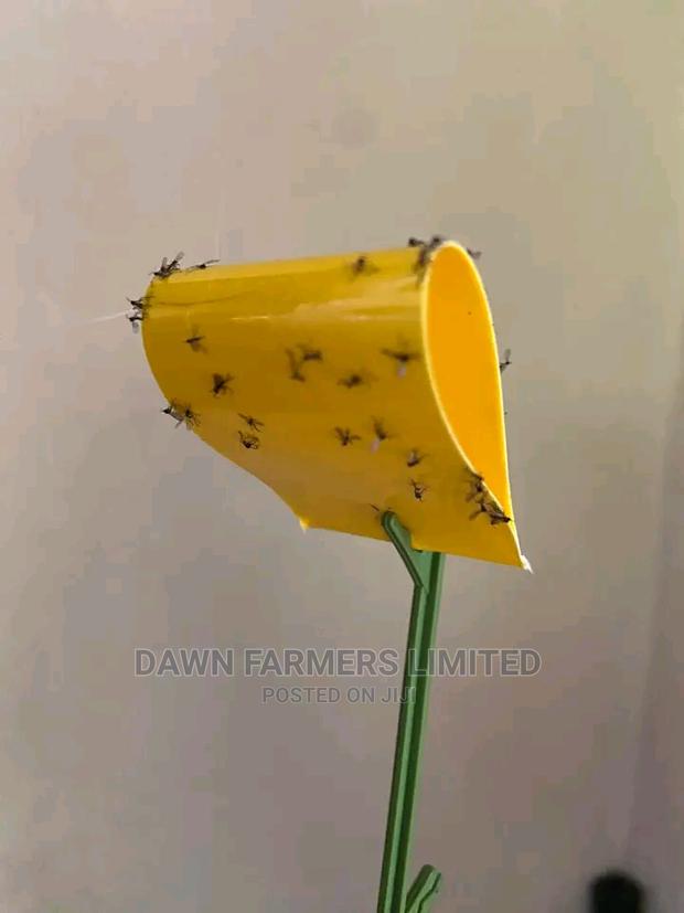Sticky Traps - thumbnail 4